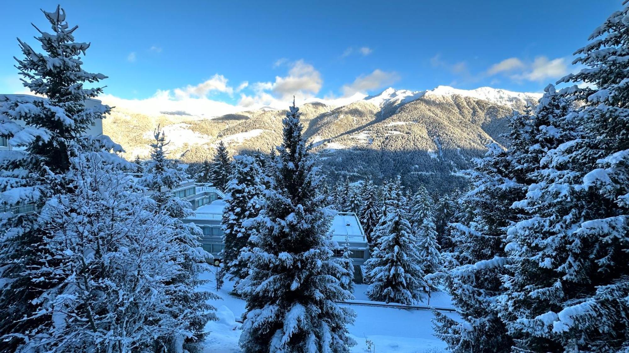 Apartament Bellavista Marilleva 1400 - Val Di Sole Zewnętrze zdjęcie